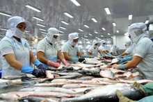 Tra fish export targets 2 billion USD in 2024