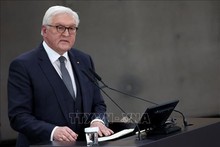 German Bundestag member highlights Germany-Vietnam ties