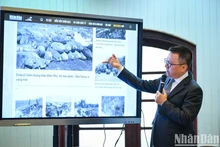 Nhan Dan Newspaper introduces special coverage on Dien Bien Phu Victory