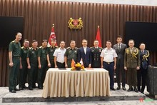 Vietnam, Singapore hold 15th defence policy dialogue