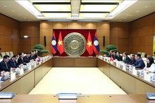 Vietnamese, Lao NA vice chairmen hold talks