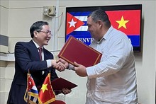 Vietnamese, Cuban farmers' associations bolster cooperation