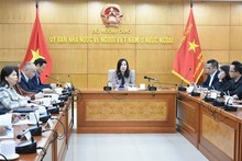 Vietnamese language training to get due attention among OVs: official