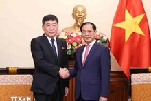 Vietnam, DPRK pledge closer ties ahead of 75th anniversary of diplomatic ties