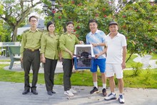 Cuc Phuong National Park rescues rare gibbon