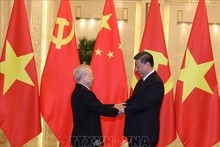 Chinese scholars praise General Secretary Nguyen Phu Trong's contributions to growth of Vietnam-Chinese relations