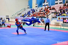 National Vovinam Championship opens in Nam Dinh