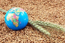 “Key” to sustainable food security