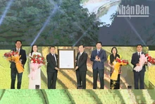 Moc Chau National Tourist Area receives official recognition