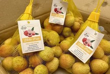 First batch of 2024 crop lychee reaches Paris