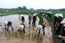 Hanoi promotes experiential tourism linked to heritage, trade villages