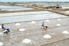 Bac Lieu to host Vietnam Salt Festival 2024