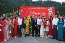 Vietnamese in Argentina, Japan celebrate Lunar New Year