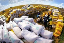 Rice among top agricultural products with high export growth