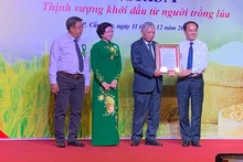 Vietnam Rice Industry Association makes debut