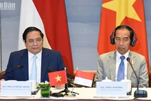 Vietnam, Indonesia eye stronger economic, trade ties