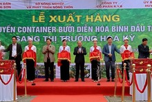 Hoa Binh exports first batch of 'Dien' pomelos to US