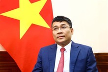 Chinese leader's Vietnam visit to deepen bilateral relations: Deputy FM