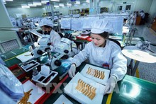 Nearly 160,000 new firms established in Vietnam in 2023