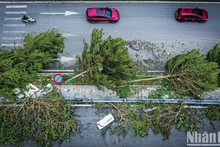 Typhoon Yagi kills 22 and injures 199