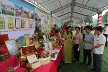 Conference promotes consumption of Danh mountain ginseng products