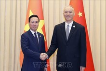 Vietnamese President meets with senior CPC official in Beijing