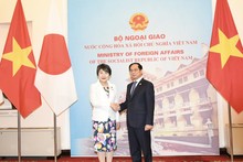 Vietnamese, Japanese foreign ministers hold talks