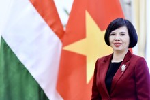 PM's visit to bolster Vietnam - Hungary comprehensive partnership: Ambassador