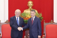 Vietnam treasures comprehensive strategic partnership with Japan: Party official