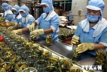 Great potential for Vietnamese goods to enter Africa, Middle East