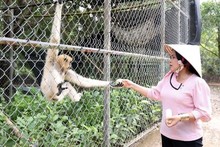 U Minh Thuong National Park to leverage ecotourism to lure new tourist dollars