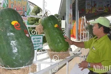 2024 Southern Fruit Festival features many attractive activities