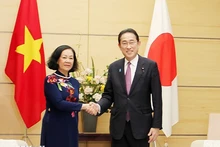 Vietnam sees Japan as important strategic partner: Party official