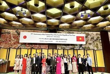 Vietnam's National Day celebrated in various countries