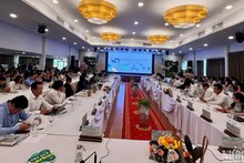 “Green Vietnam” project launched to raise awareness of environmental protection