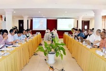 New EU-funded project to boost smart agriculture in Mekong Delta