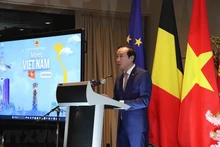 Measures sought to promote Vietnam-Belgium cooperation