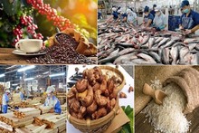 Agro-forestry-aquatic exports up 79% in January