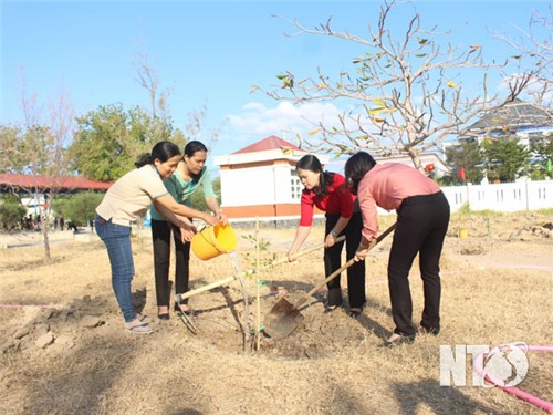 Phụ nữ Ninh Hải góp sức xây dựng nông thôn mới nâng cao