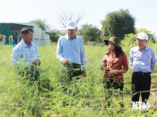 Phát huy truyền thống, sức mạnh đại đoàn kết toàn dân tộc, xây dựng quê hương Ninh Thuận ngày càng phồn vinh, văn minh, hạnh phúc