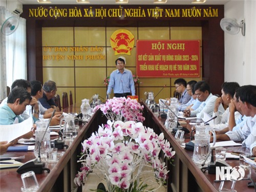 Ninh Phước: Triển khai kế hoạch sản xuất vụ hè - thu năm 2024