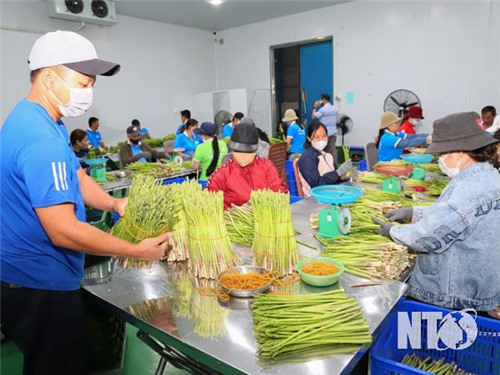 Hỗ trợ doanh nghiệp nhỏ và vừa, hợp tác xã chuyển đổi số