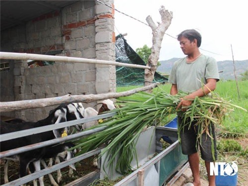 Nâng cao chất lượng tín dụng chính sách xã hội