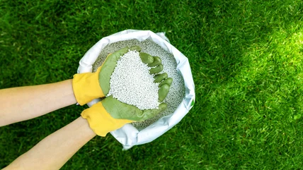 This Is The Best Time Of Year To Fertilize Your Lawn