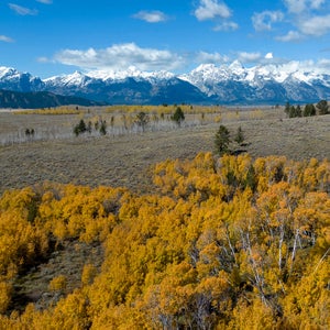 Wyoming sẽ không bán đấu giá lô đất Grand Teton của mình—Tuy nhiên