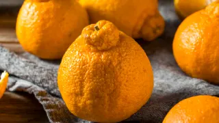 Sumo Citrus là cái quái gì và bạn ăn nó như thế nào?