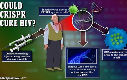 Liệu pháp mới chữa HIV được thử nghiệm trên người