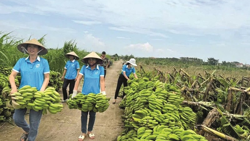 Nhân lên yêu thương trong những ngày bão lũ