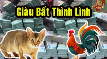 3 tuổi tựa cỗ máy in tiền: Giàu số 2 thì không ai là số 1 trong tháng 6 Âm lịch tới