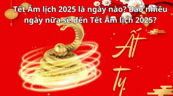 Tết Âm lịch 2025 là ngày nào? Bao nhiêu ngày nữa sẽ đến Tết Âm lịch 2025?